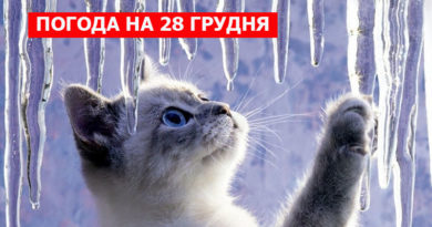 погода