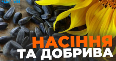 NASINNIA TA DOBRYVA
